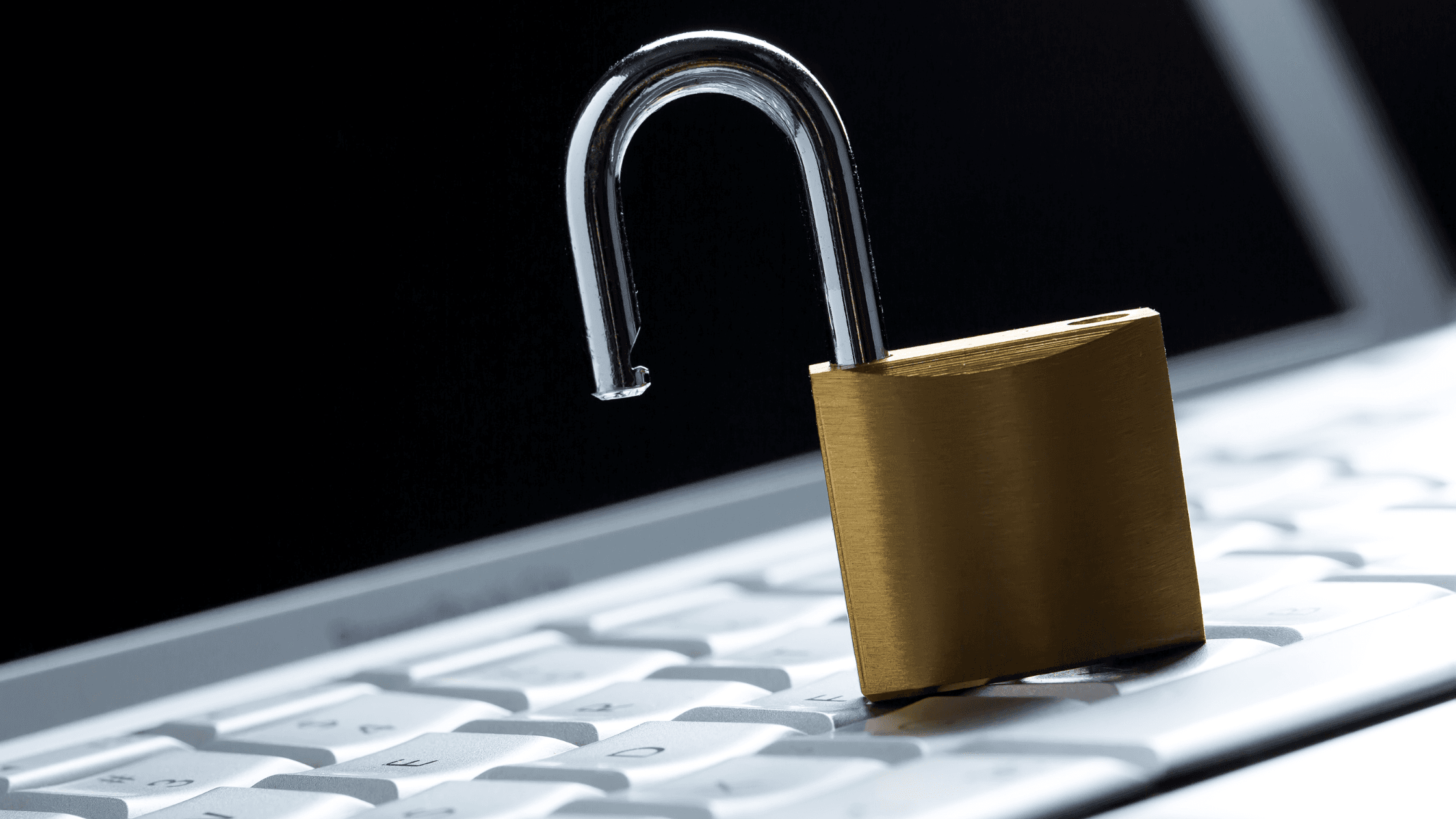 Ways to Unlock the Powers of Your Software Developer for a Successful Business